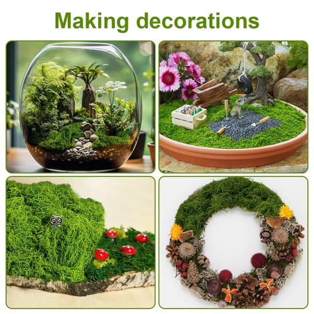 Thumbnail 4 de OFFCUP 50g Muschio stabilizzato decorativo