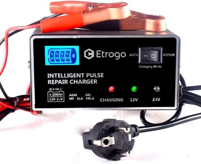Detalle de Etrogo Caricabatteria 12V 24V 10A con LED 250W