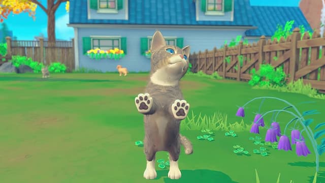 Detalle de My Universe: Pets Edition for Nintendo Switch
