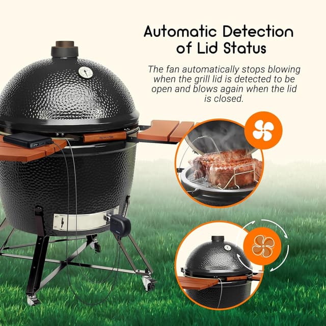 Detalle de Inkbird Grillgebläse Bluetooth 5.1 & Wi‑Fi 2,4 GHz mit Smoker-Thermometer und 4 Sonden