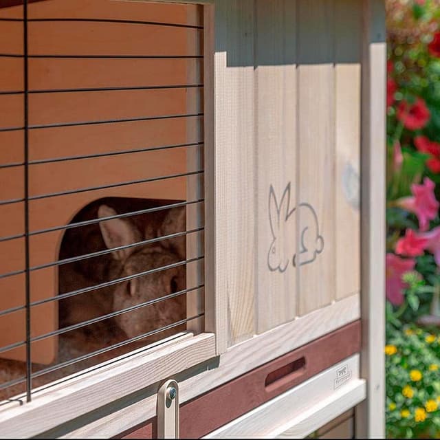 Thumbnail 4 de Ferplast Clapier Ranch 100 Basic en bois FSC 🐰