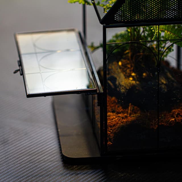 Thumbnail 5 de NCYP Glass House Terrarium 19×12.5×23 cm