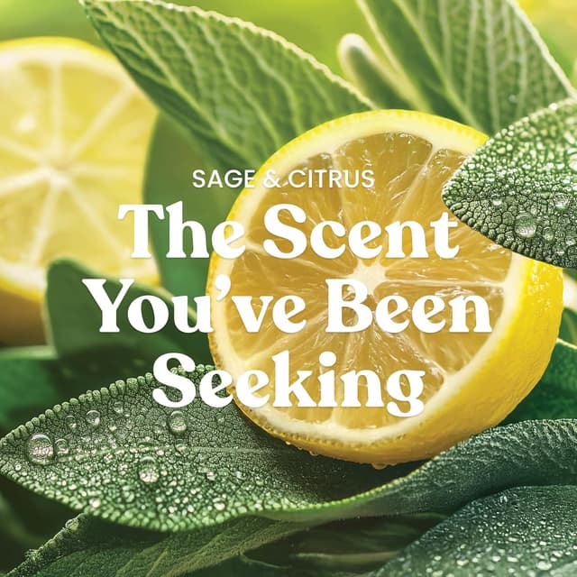 Thumbnail 1 de Yankee Candle Sage & Citrus 22oz Scented Candle 🕯