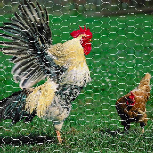 Thumbnail 4 de UNU Chicken Wire Mesh Roll