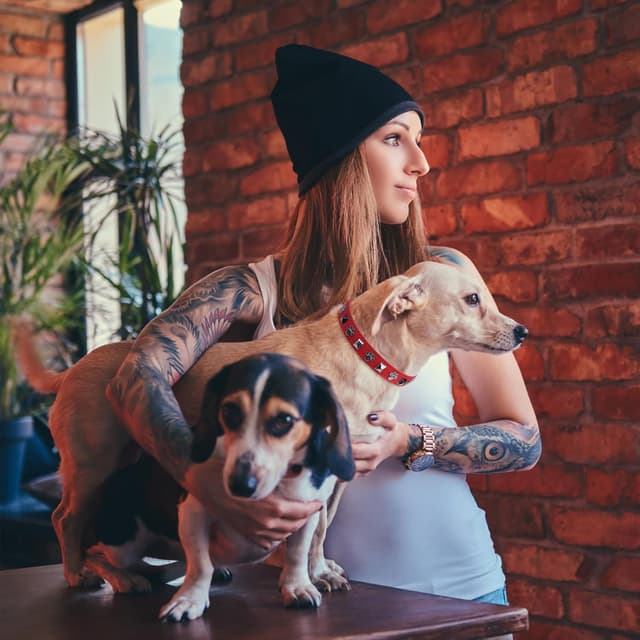 Thumbnail 1 de SCENEREAL Leather Dog Collar S 11-14 in