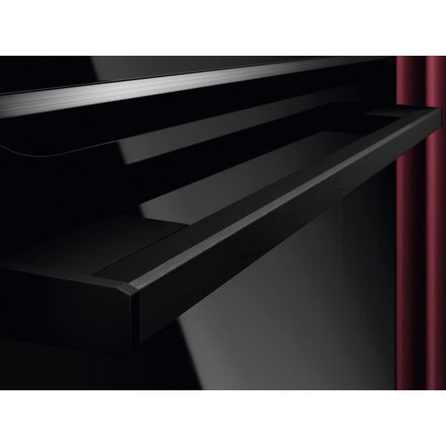 Detalle 1 de AEG Horno Serie 5000 TA5PB531AB 71L SteamBake