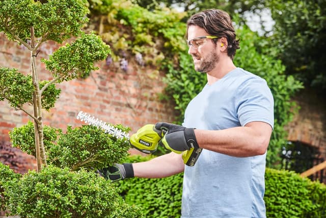 Detalle 2 de Ryobi RY18GSA-0 18V Cordless trimmer blades