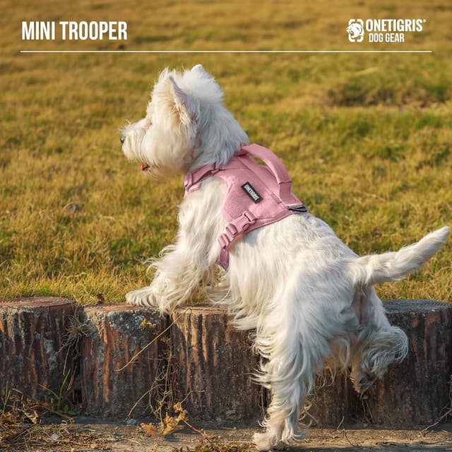 Thumbnail 6 de OneTigris Harnais pour petit chien avec laisse 150 cm – Mini Trooper rose, taille XS