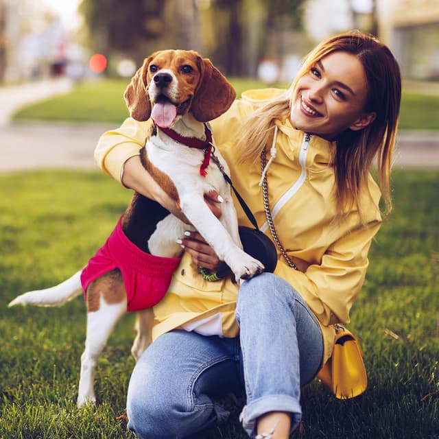 Detalle 2 de Pet Soft Dog Nappies Female (3 pack) – medium washable dog period pants with leak-proof waistband