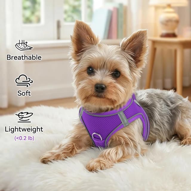 Detalle 2 de Joytale Step in Dog Harness (XS, Purple) – soft mesh reflective easy-walk harness for extra small dogs