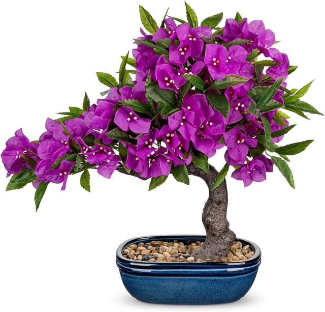 Thumbnail 6 de Arborus Kunstblumen Bougainvillea 53 cm