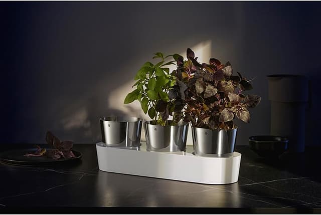 Detalle 2 de WMF Gourmet Macetero de hierbas con riego automático 36 cm