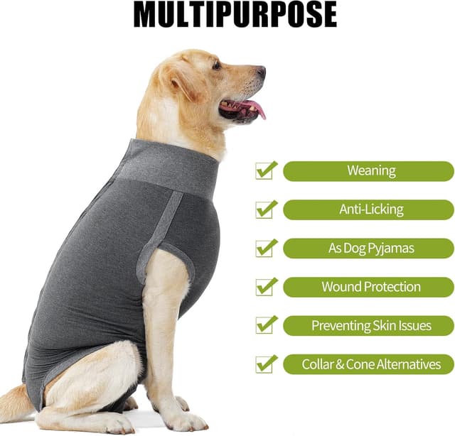 Detalle 2 de HEYWEAN Tuta post-operatoria per cani Cane: body chirurgico per maschi e femmine