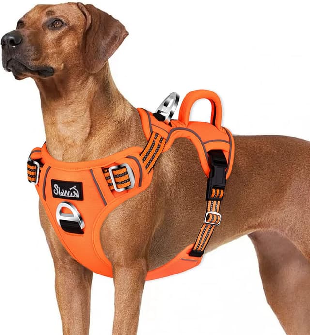 Detalle de Eyein Large Dog Harness (XL) – Anti-pull adjustable dog vest with 2 clips, reflective straps and padded handle