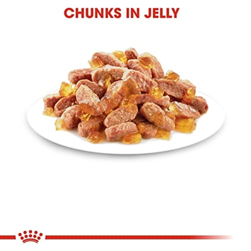 Thumbnail 4 de Royal Canin Kitten Instinctive 🐱 Paquete 12x85g