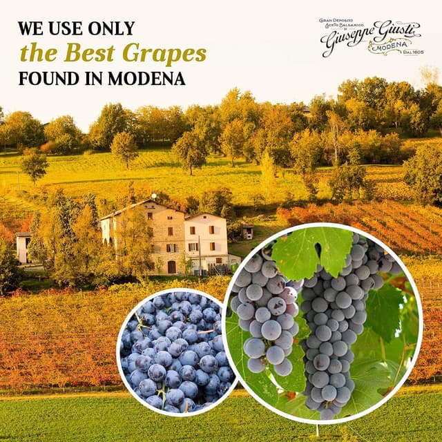 Thumbnail 6 de Giuseppe Giusti Aceto Balsámico Riserva Banda Rossa 🍇 250g