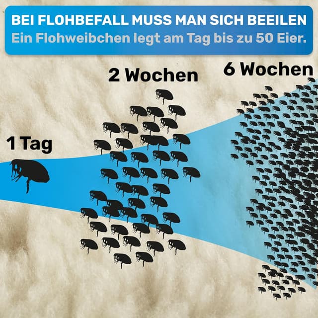 Detalle de BluePet Flohkamm + Flohkarte für Hunde & Katzen – sanftes Auskämmen gegen Flöhe, Läuse & Zecken