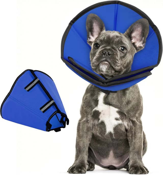 Thumbnail 5 de PUZAUKAL Dog Cone After Surgery L