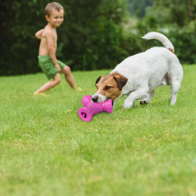 Thumbnail 5 de Autoau Giochi per Cani da masticare