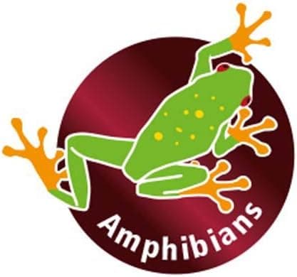 Thumbnail 5 de HOBBY THERMOMETRE + HYGROMETRE Blister