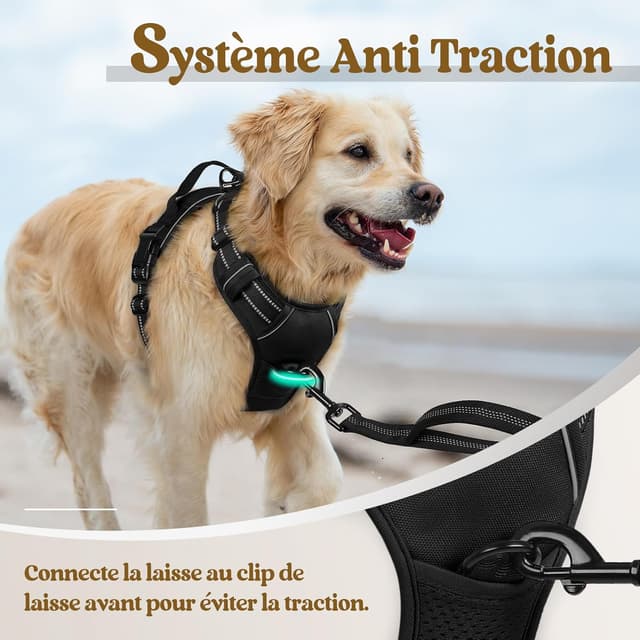 Thumbnail 4 de rabbitgoo Harnais chien anti-traction L avec poignée