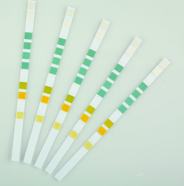 Detalle 2 de OASE AquaActiv QuickSticks 6 in 1 50 Stück