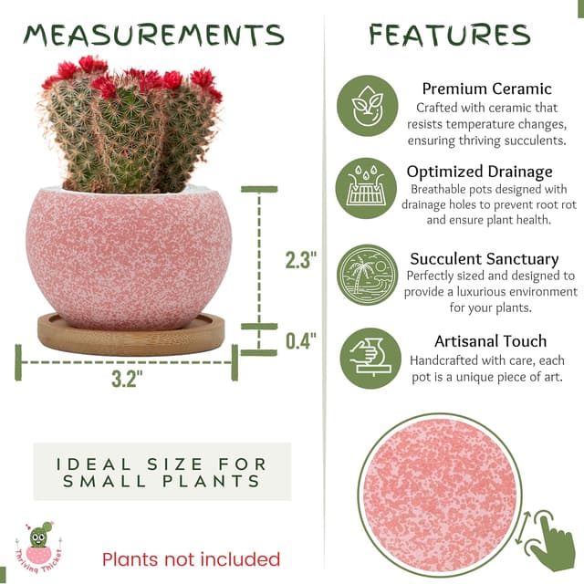 Thumbnail 2 de Thriving Thicket 3" Ceramic Succulent Pots, 6-Pack 🌱