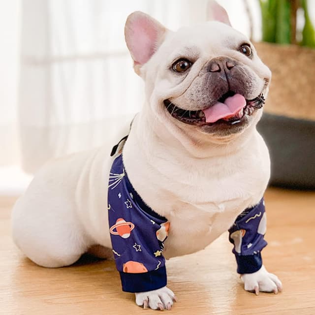 Detalle de Blue Dream Island Dog Front Leg Braces Recovery Sleeve (Medium to Large, 2XL) — wound and incision protector