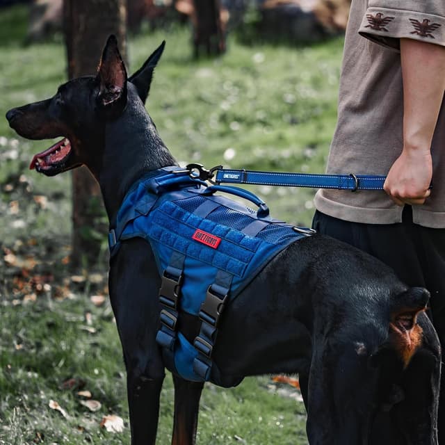 Detalle 2 de OneTigris Bolt guinzaglio corto per cani da 52 cm con clip in metallo e imbottitura morbida