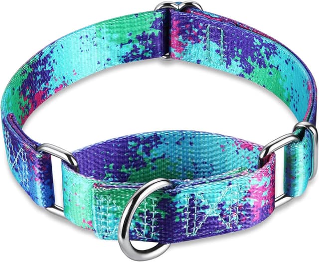Thumbnail 1 de Dazzber Martingale Collar Colourful Oil Pattern