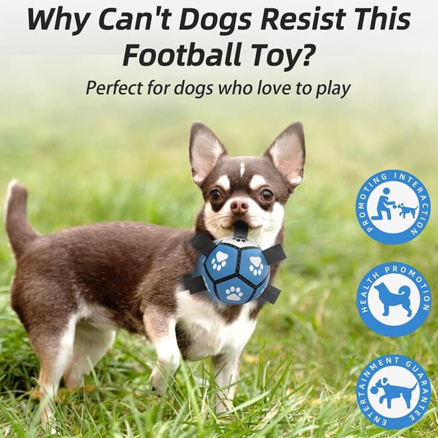Detalle de HETOO Interactive Dog Football Toys with Webbing – 5 Inch Dog Water Ball for Small to Medium Breeds (Blue/Gray)
