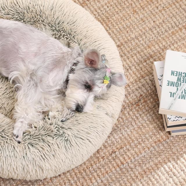 Thumbnail 6 de Feandrea Hundebett 70 cm Donut-Kissen