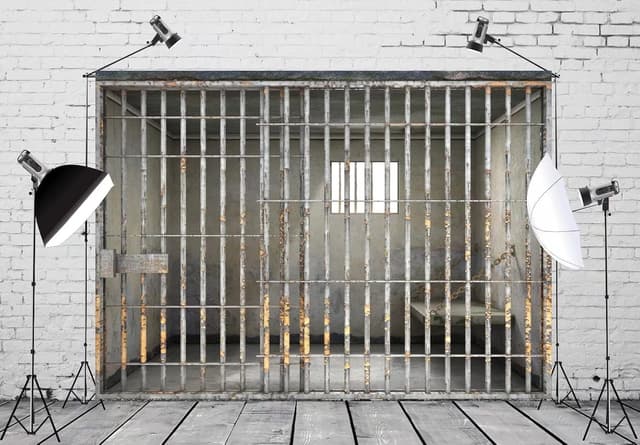 Detalle de BELECO 1.5 x 1m Fabric Prison Bars Backdrop (Jail/Mugshot crime theme photo background)