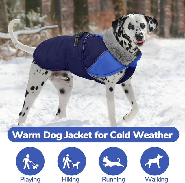 Detalle de LeLePet Lelepet Dog Winter Coat waterproof L