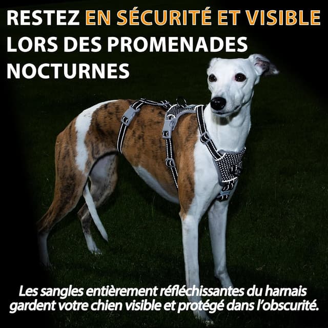 Detalle 2 de Huntboo Harnais anti-fugue réfléchissant anti-traction pour chien (noir, taille L)