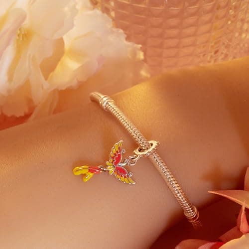 Detalle de BOIGEGU Fénix Charms de plata de ley 925 con circonita cúbica (compatible con pulseras tipo Pandora)