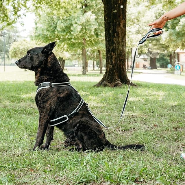 Thumbnail 5 de Ferplast ERGOCOMFORT correa perros 120 cm azul