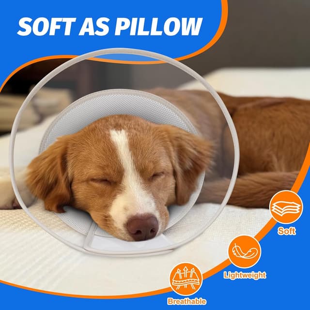 Thumbnail 6 de Supet Dog Cone Collar XL for Recovery
