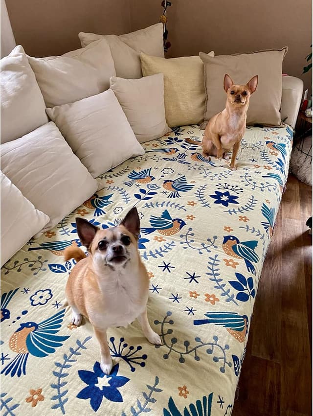 Detalle 2 de HOORDRY 150 x 200 cm Cotton Bed Throw with Tassels – Reversible Boho Blanket for Sofa or Bed (Green/White)