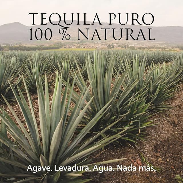 Thumbnail 6 de PATRÓN Añejo Premium Tequila 70 cl 🥃