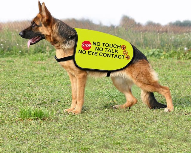Thumbnail 6 de No Eye Contact Dog Jacket Vest Medium