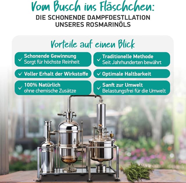 Detalle 2 de Bio Rosmarinöl (Fördert das Haarwachstum) von Soena Naturals – ätherisches Rosmarinöl in hoher Konzentration