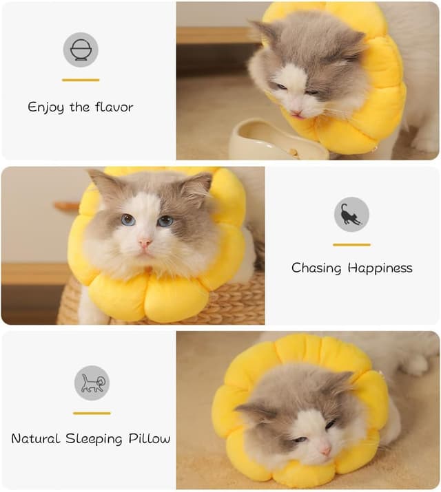 Detalle 2 de Wishstar Halskrause Katze Größe S – weicher Leckschutz im Sonnenblumen-Design