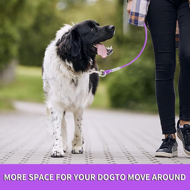 Detalle de Purple Dog Tie Out Cable (steel wire leash), 9m with durable 360° clips