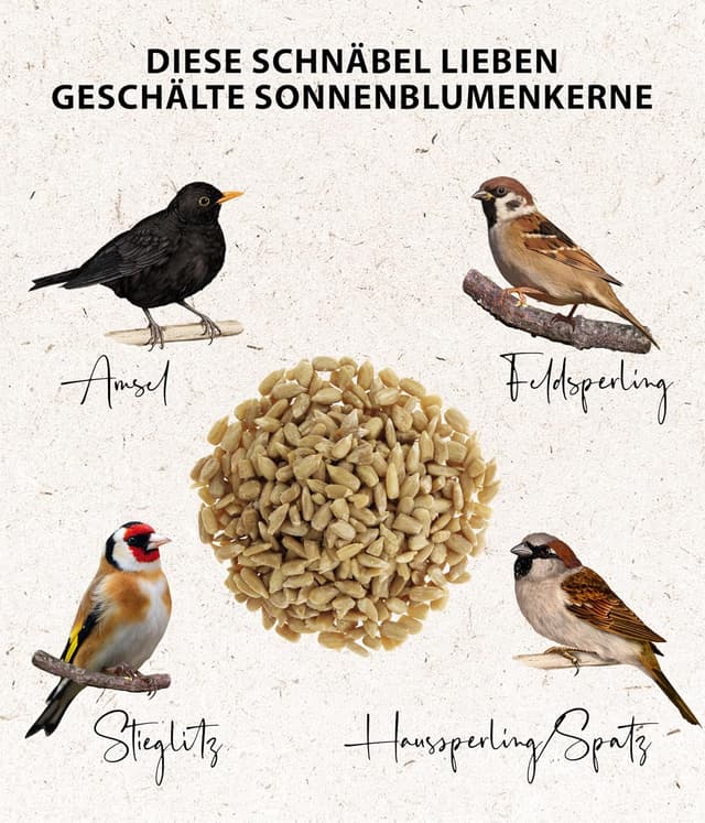 Thumbnail 3 de Dehner Natura Premium Wildvogelfutter 5 kg 🐦