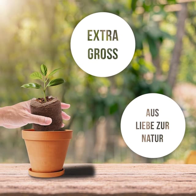 Detalle 2 de Bellhorn Kokos Quelltabletten 36 mm Anzucht