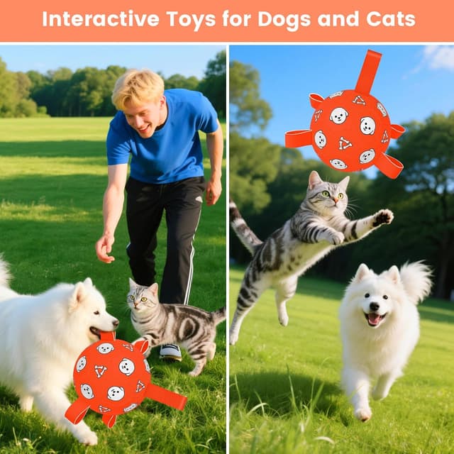 Thumbnail 6 de WYNTRIUM WYNTRIUM dog football 6 inch