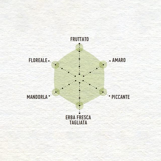 Thumbnail 1 de Costa d'Oro Il Grezzo olio extravergine 3 L 🫒