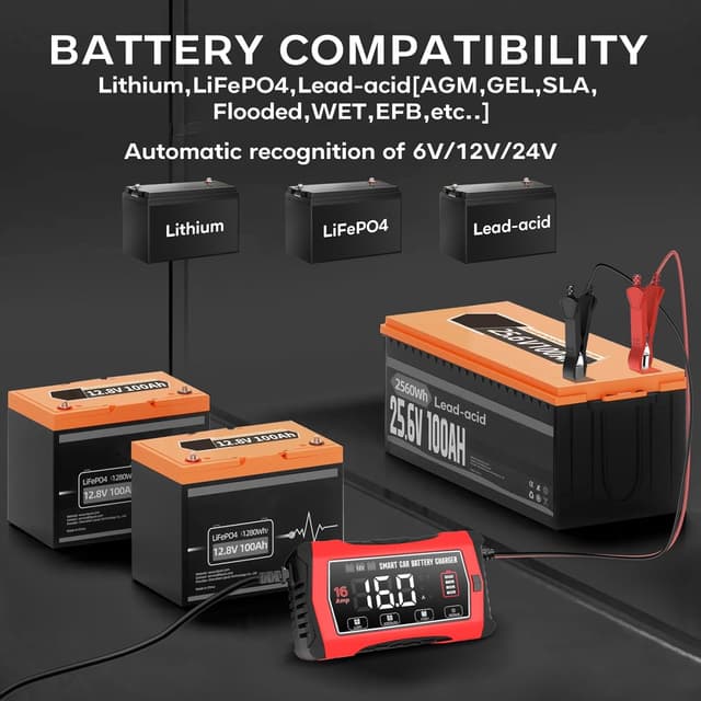 Detalle 2 de 16A 6V 12V 24V battery charger