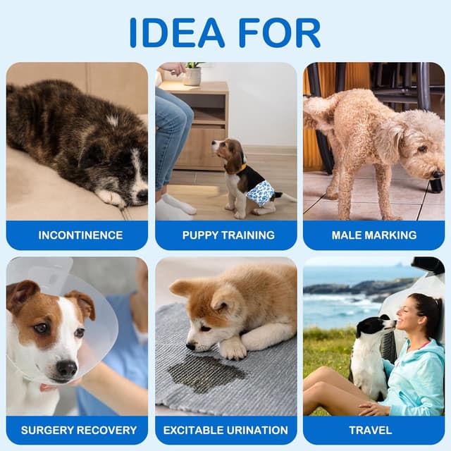 Thumbnail 6 de Hundewindeln für Rüden 20 Stück